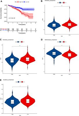 Unlocking phenotypic plasticity provides novel insights for immunity and personalized therapy in lung adenocarcinoma